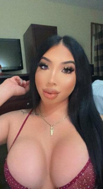 8329344973, female escort, Austin